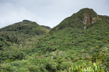 Fototapeta premium The slope of mount Sibayak