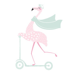 Flamingo on scooter