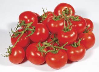 Tomato. Tomato branch. Tomatoes isolated on white.
