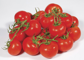 Tomato. Tomato branch. Tomatoes isolated on white.
