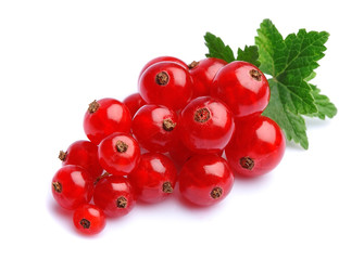 Red currants berry. © margo555