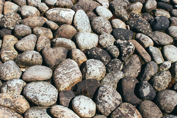 abstract background with dry round reeble stones