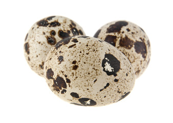 Fototapeta premium quail eggs isolated on white background