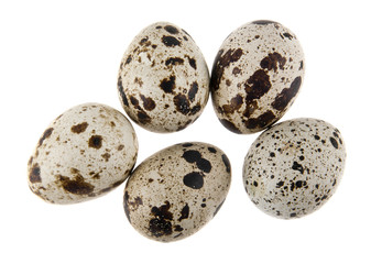 quail eggs isolated on white background
