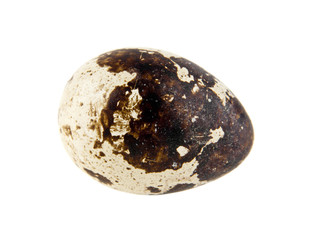 quail eggs isolated on white background
