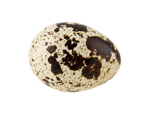 quail eggs isolated on white background