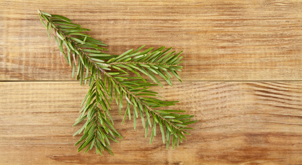 green branch of Christmas tree on a wooden background