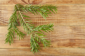 green branch of Christmas tree on a wooden background