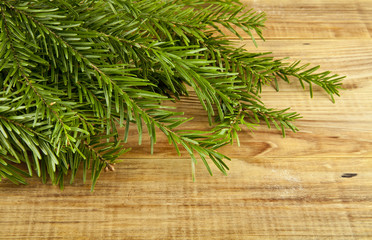 green branch of Christmas tree on a wooden background
