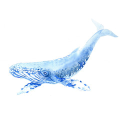 Whale watercolor raster. Animals underwater world raster.