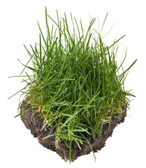 soil and grass isolated on a black background