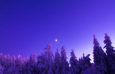 Foto op Plexiglas Donkerblauw Winterlandschap van Sotkamo, Finland.