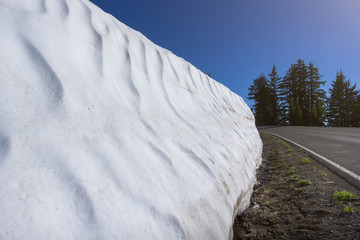 July 2017 - Snow wall melting along the road (Rim Drive - Volcanic Legacy Scenic Byway) with sunlight in a summer season, Crater Lake, Oregon, USA