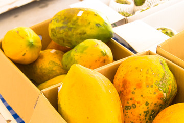papayas