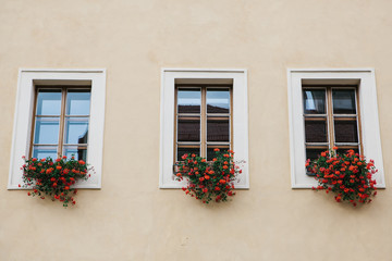 Many windows are decorated with beautiful red flowers. The idea of decorating a home with plants