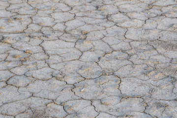 Cracked dry soil at the bottom of the dried Forggensee in Bavaria