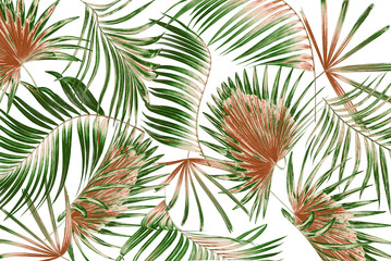 Naklejka na ściany i meble mix green leaves of palm tree on white background