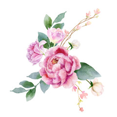 Watercolor vector hand painting illustration of peony flowers and green leaves. © ElenaMedvedeva