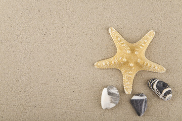 Fototapeta na wymiar starfish and stones on the sand for relaxation as a background