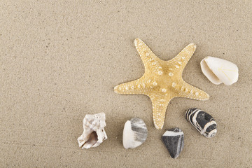 Fototapeta na wymiar seashells, stones and starfish sand for relaxation as a background
