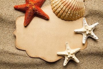 Blank paper label and various shells and starfish on beach sand background
