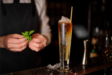 Fototapeta na wymiar Barman holding a mint leaves near the summer cocktail