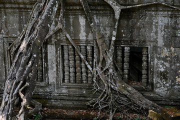 CAMBODIA SIEM REAP ANGKOR BENG MEALEA TEMPLE