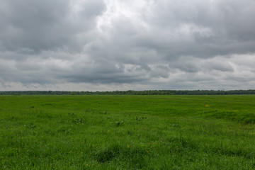 An uncultivated field with a green grass against a cloudy sky
