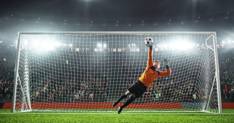 Soccer goalkeeper in action on the stadium