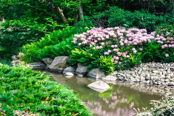 Obraz na płótnie Canvas Water stream in picturesque Japanese garden