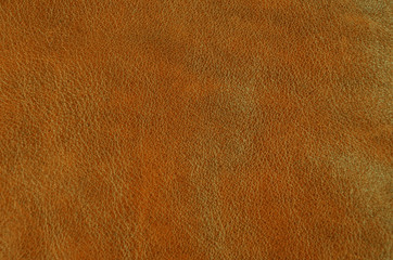 Natural leather background