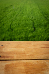 wood with green field in background with copy space
