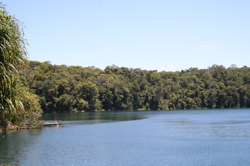 Fototapeta na wymiar lake barrine, crater lakes national park, queensland australia
