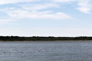 The lake and the forest