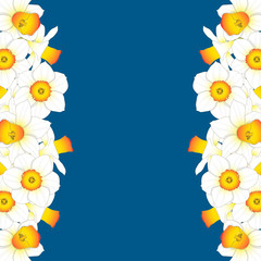 Fototapeta premium Daffodill - Narcissus Border on Indigo Blue Background