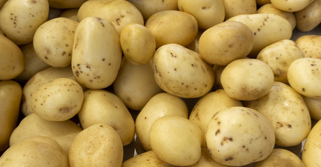 Fondo textura de patatas,  cantidades para comprar y vender en el mercado 