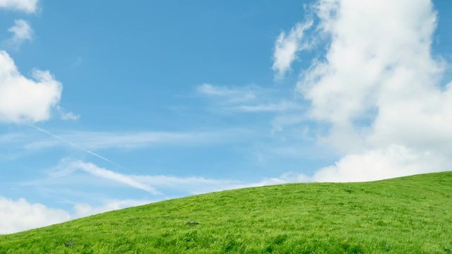 丘のあ風景