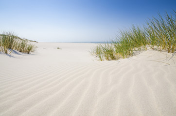 Naklejka premium Dzika bałtycka plaża w Białogórze