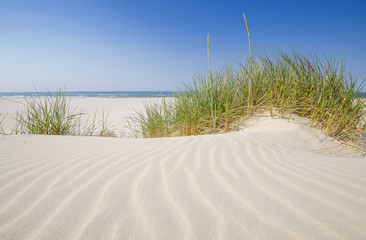Obraz premium Dzika bałtycka plaża w Białogórze