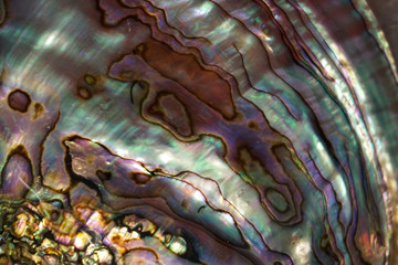 natural pearl texture