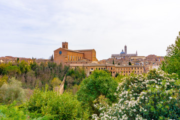 Fototapeta na wymiar view of the Basilica of Sain Domenico in Siena, Italy