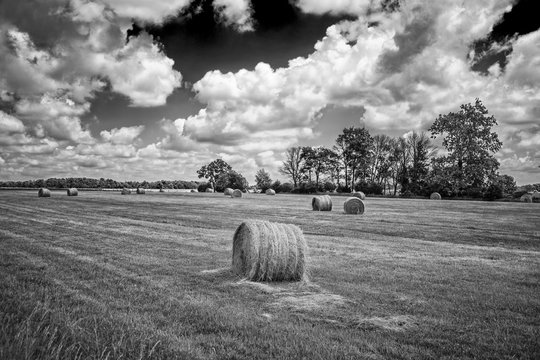 A black and white photo of rolls of hay in a large farm field during the spring in Indiana, USA