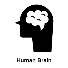 Human Brain icon vector sign and symbol isolated on white background, Human Brain logo concept