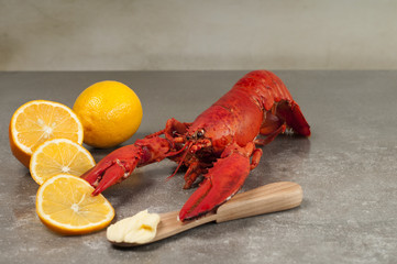 homar trzymający w szczypcach cytrynę i nóż z masłem