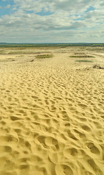 Bled&oacute;w Desert - Pustynia B?edowska): an area of sands in Poland. largest accumulation of lsand in the Central Europe