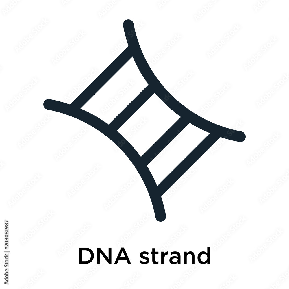 Wall mural DNA strand icon vector sign and symbol isolated on white background, DNA strand logo concept - Wall murals