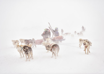 Greenland, ski tourer and huskies