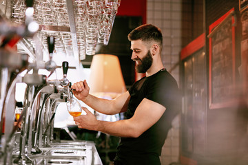 Bartender Working At Bar Pub Pouring Beer In Glass