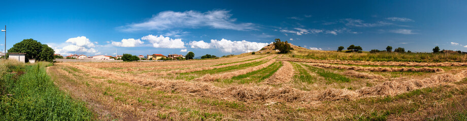 Campo di fieno  © Alessio Orrù
