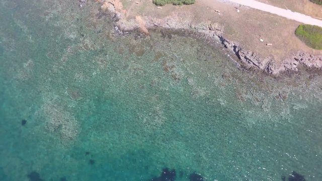 Aerial view of coastline of Kassandra peninsula, Greece, raw, 4K